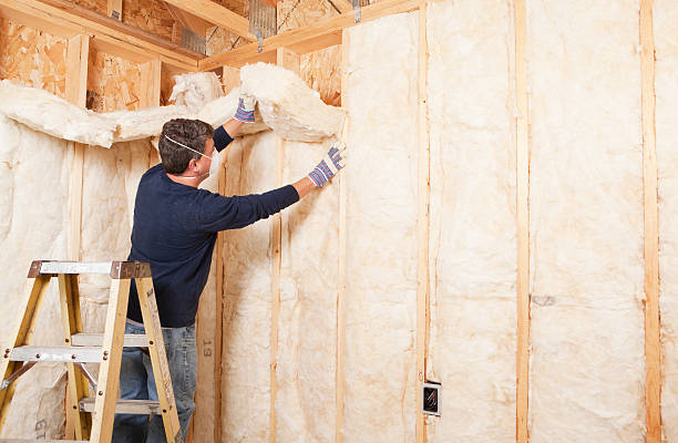 Professional Insulation Services in Southgate, MI